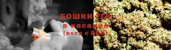 индика Остров