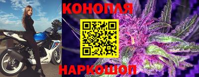 молекула духа Кулебаки