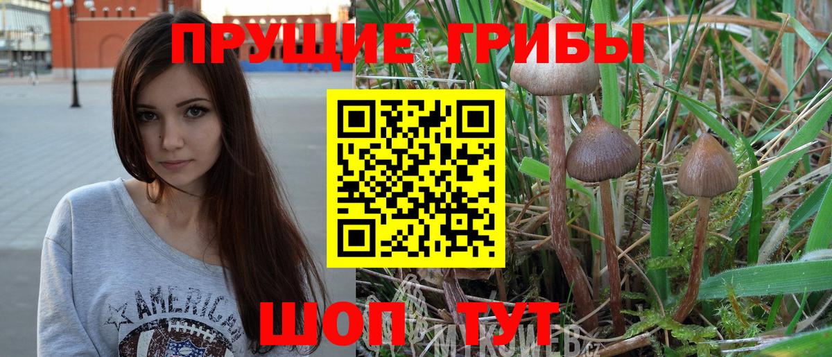 Невинномысск  Псилоцибиновые грибы Cubensis  Псилоцибиновые грибы Psilocybine cubensis  Вход с VPN 